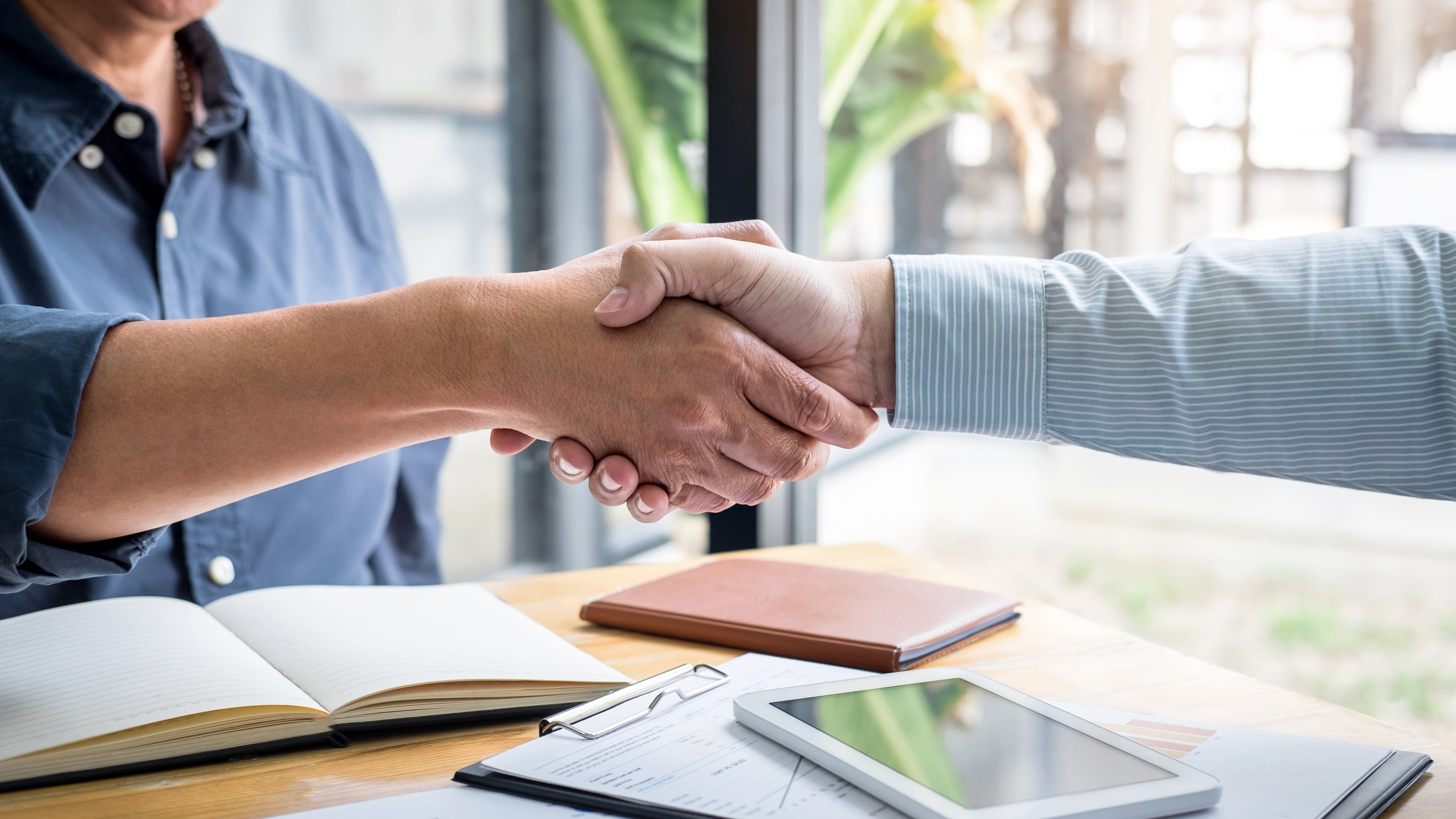 Professional business partnership handshake